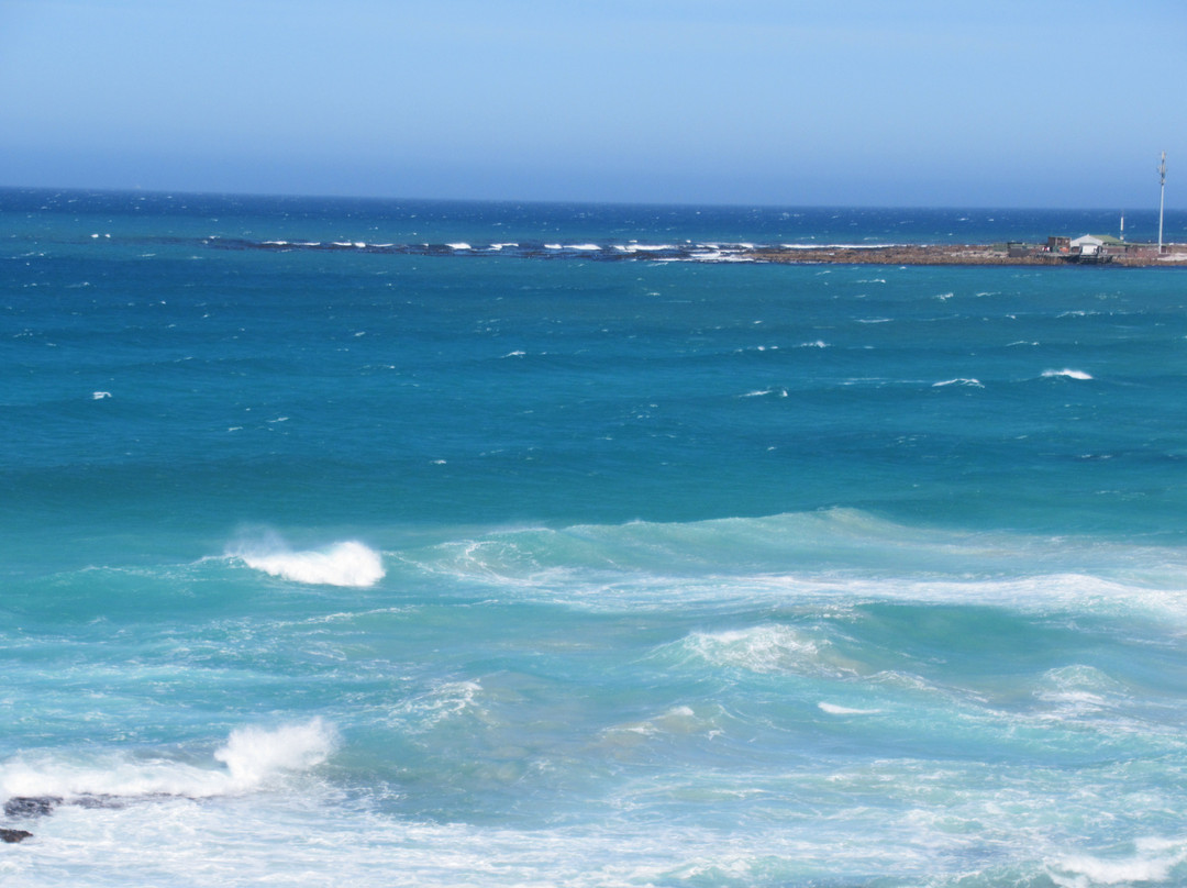 Stobers Tours-Cape Point必去景点