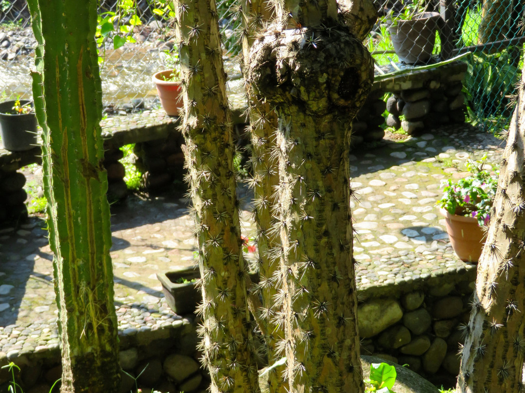 Ex Hacienda de Nogueras-Comala必去景点