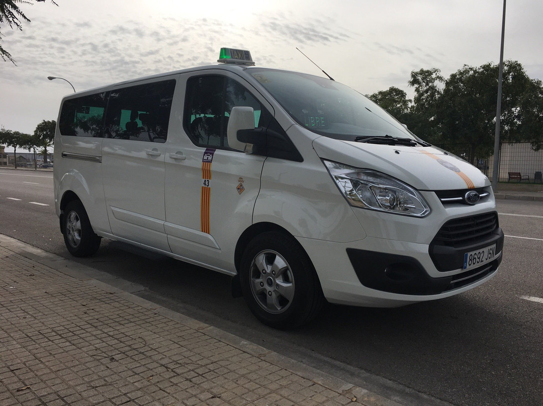 Bt Group Mallorca Buses景点图片