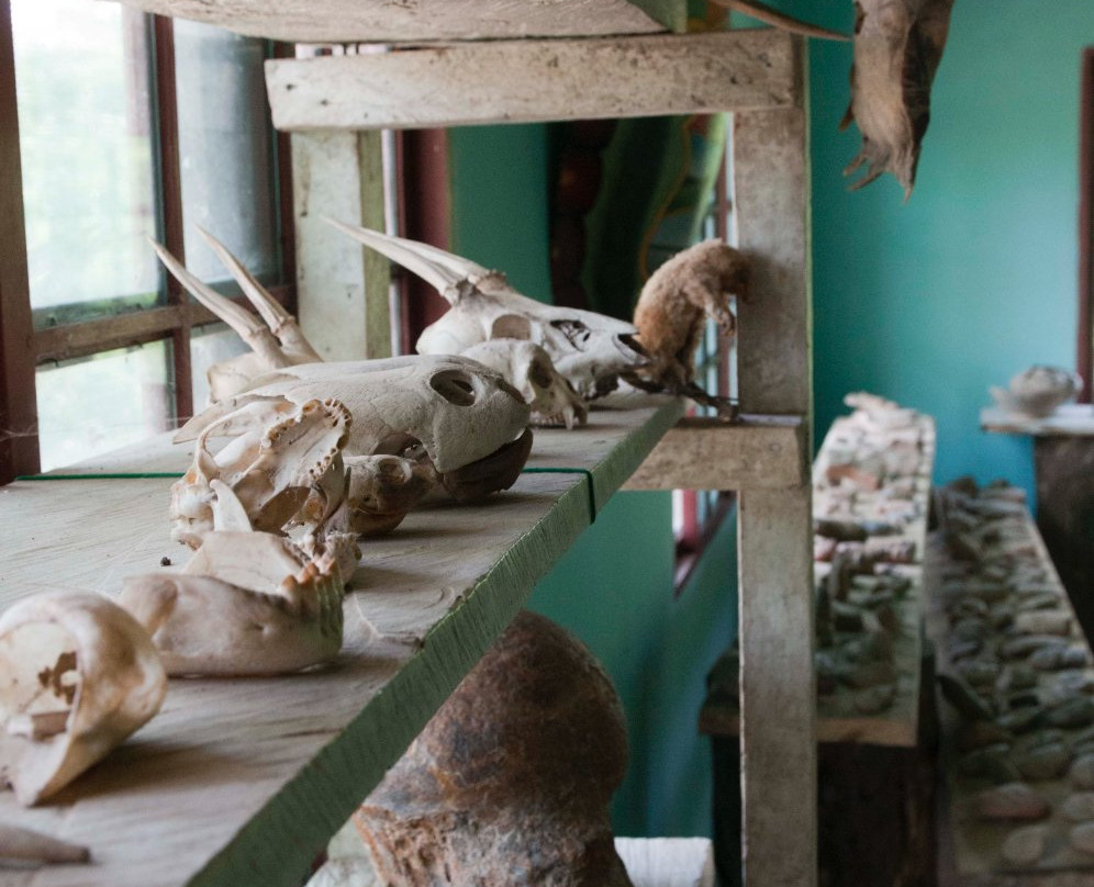 Bolivian Parrots Conservation-Trinidad必去景点