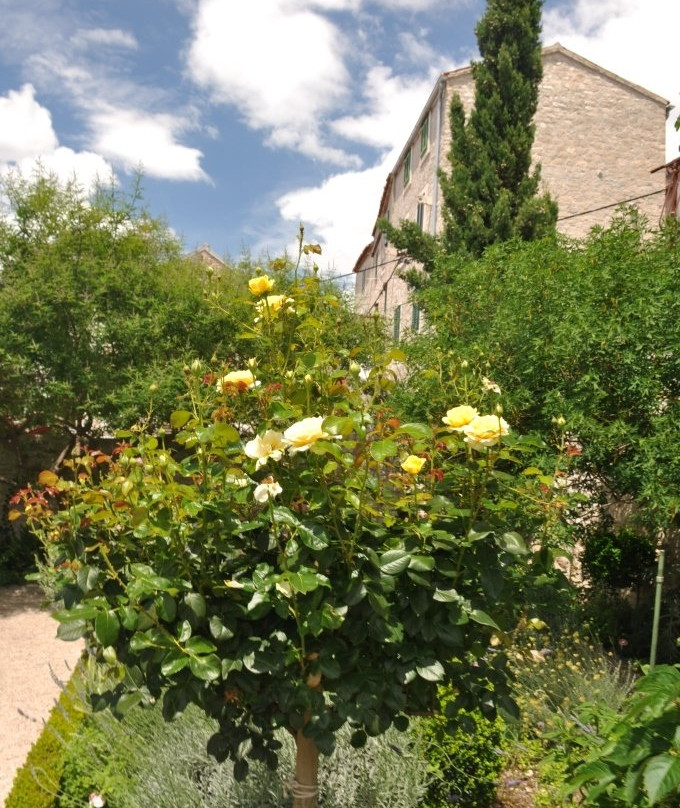 St.Lawrence Church and Monastery景点图片