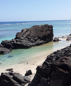 南太平洋拉罗汤加图片