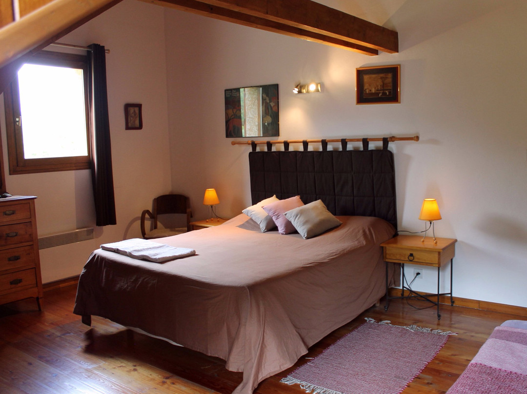 L'Argentière-la-Bessée酒店住宿-B&B La Borella