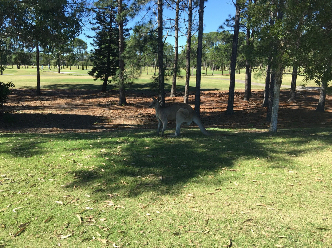 The Palms Golf Course-希望岛必去景点