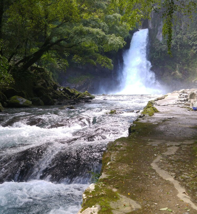 Amagisou Tachiyori-yu Hot Spring-河津町必去景点