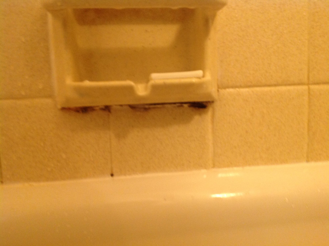 Lake Cadillac Resort主图