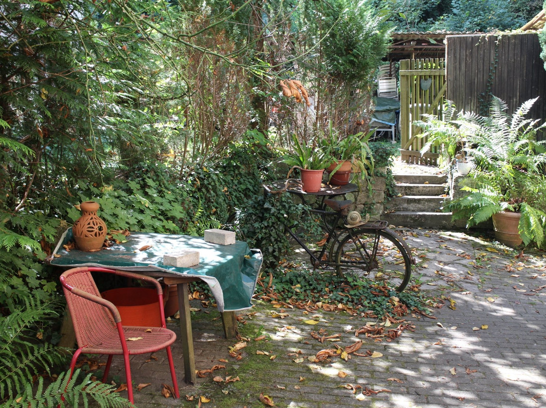 Hotel Waldheim主图