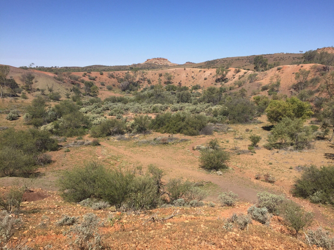 Henbury Meteorites Conservation Reserve景点图片