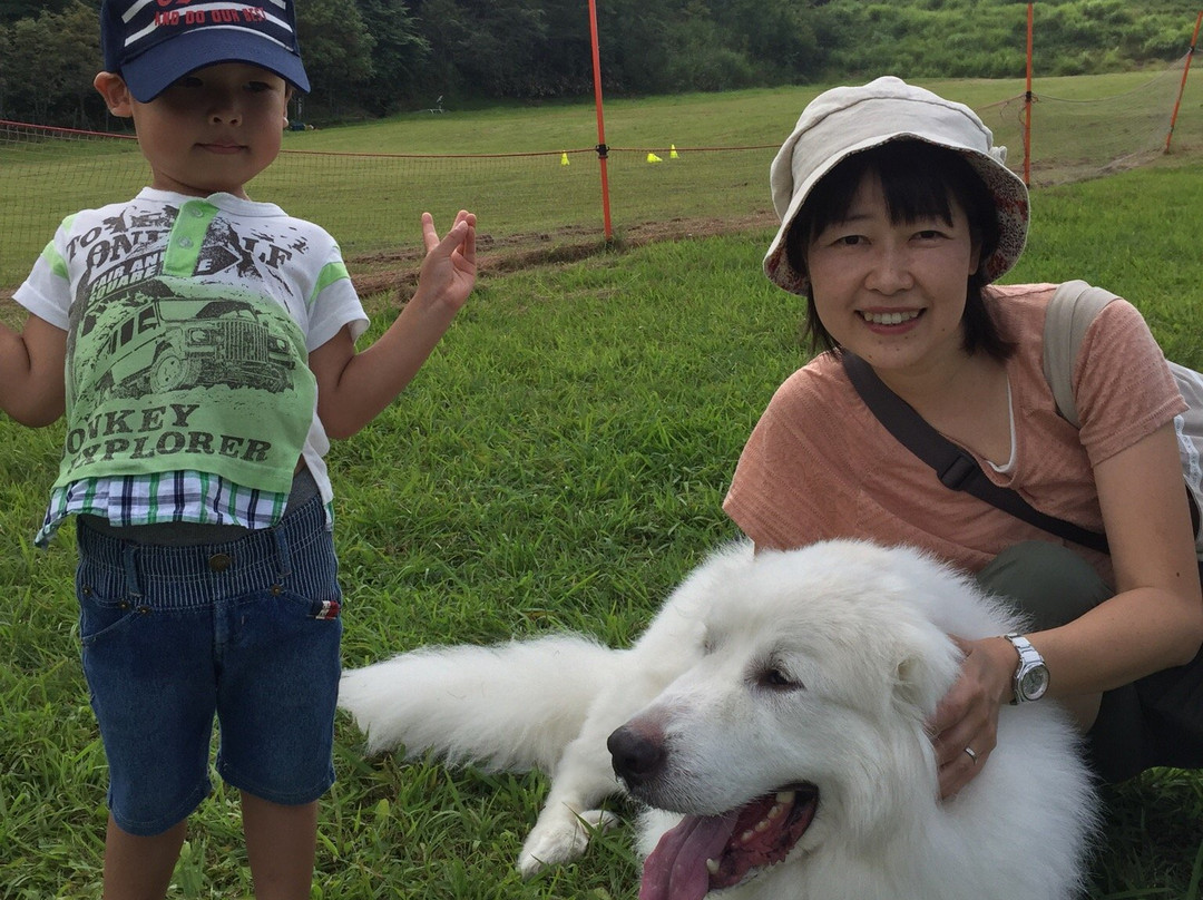 Kyukamura Chausuyama-Kogen主图