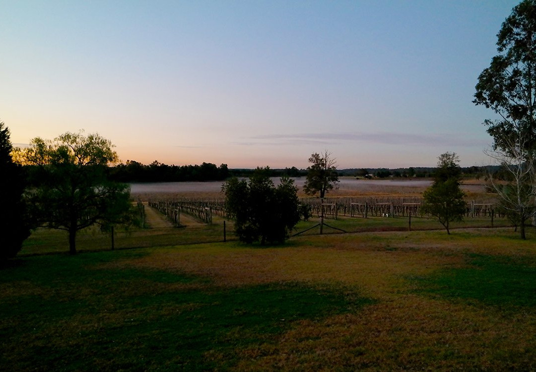 Glenguin Estate and Vineyard-Broke必去景点