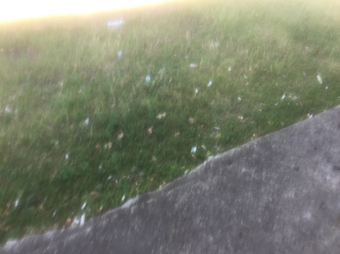 Centennial Park. Hard.景点图片