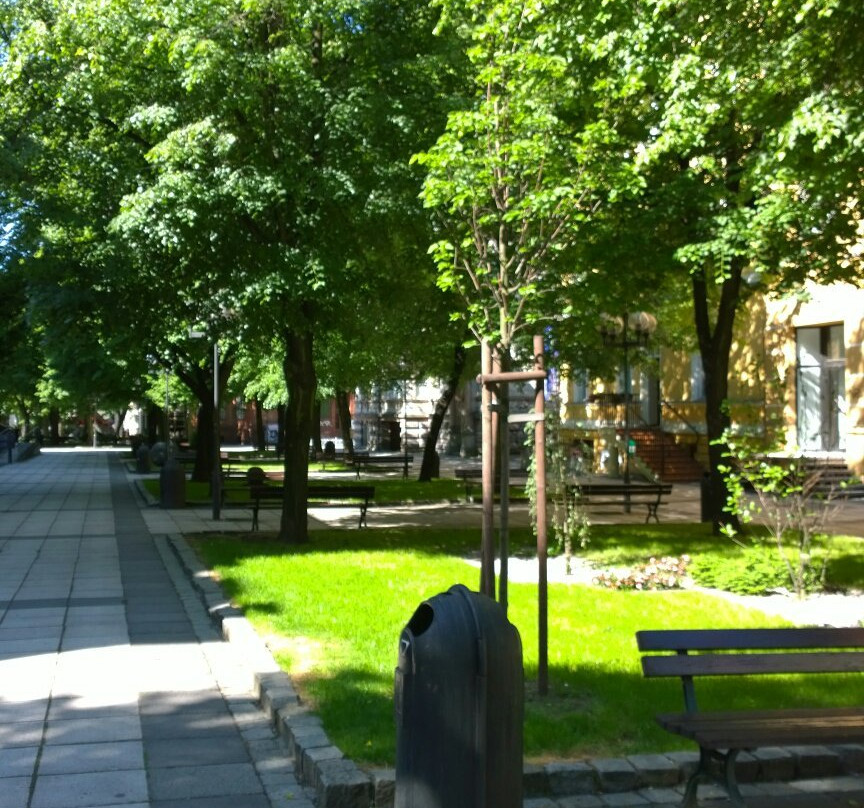 Town Hall (Ratusz)景点图片