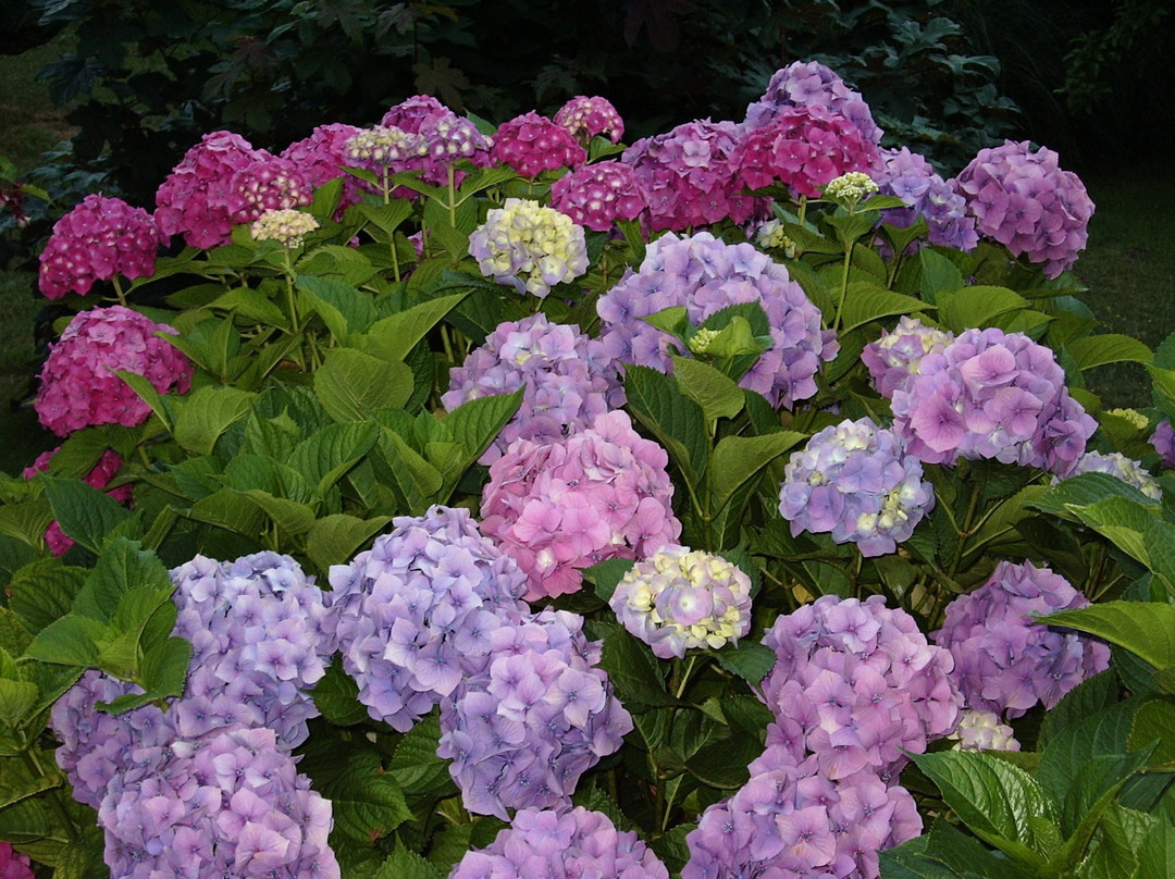 Résidence De  L'esperance主图