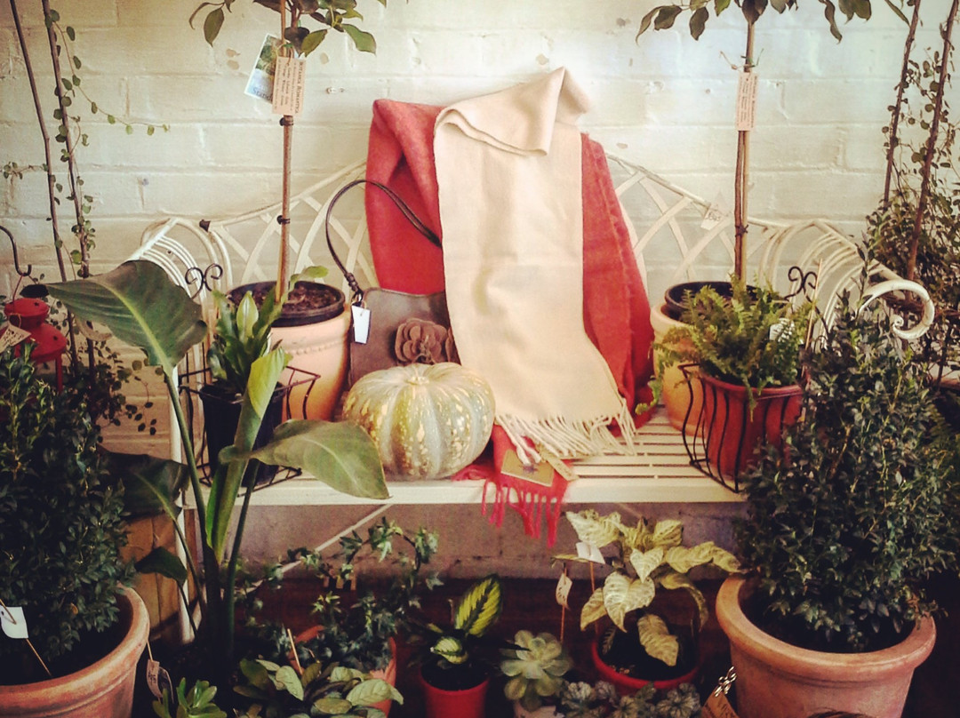 Botanica Romantica-Harden-Murrumburrah必去景点