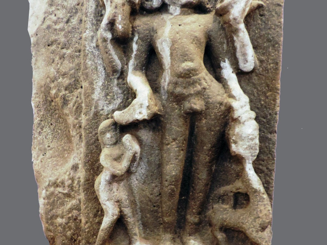 Vikram Kirti Mandir Museum景点图片