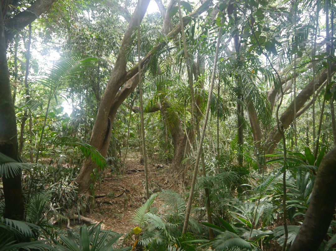Port Moresby Nature Park景点图片