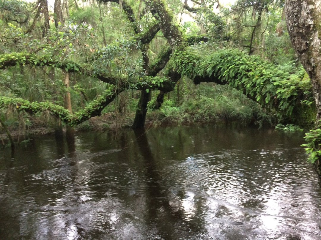 Aldermans Ford Conservation Park-Lithia必去景点