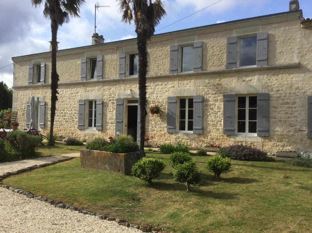 Violettes de Malleville主图