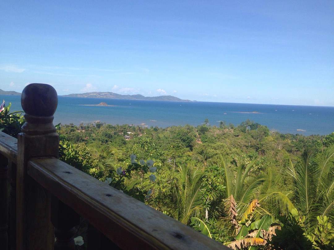 Windy Willow's主图