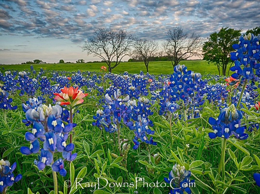 恩尼斯旅游攻略图片
