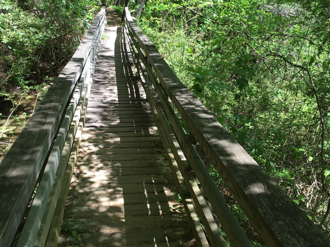 Hurricane Creek Park景点图片