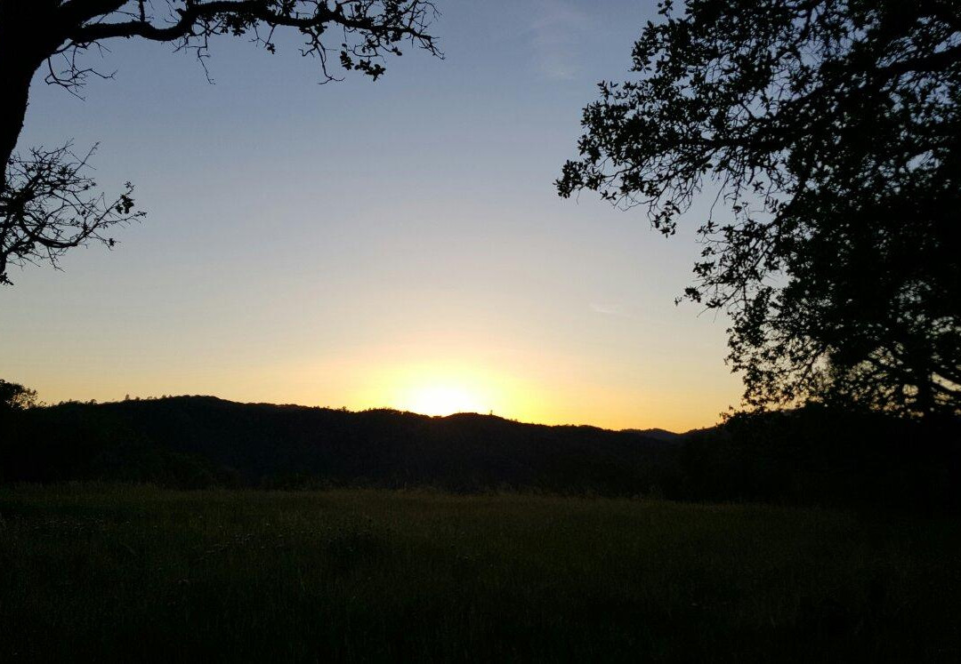 Henry W. Coe State Park-摩根希尔必去景点
