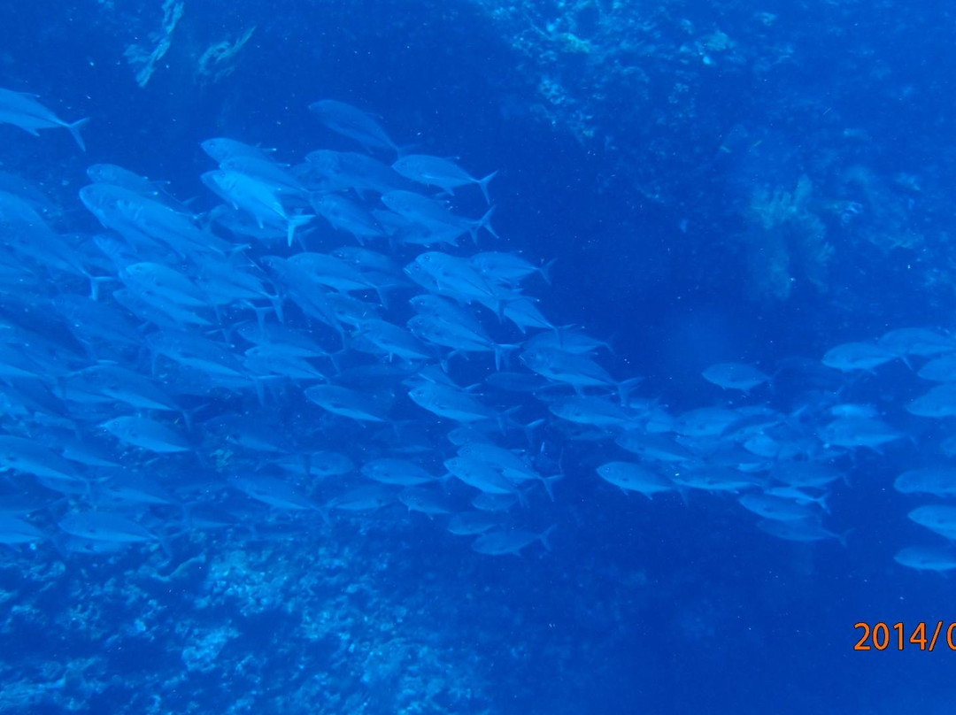 Minshuku Kotobuki主图