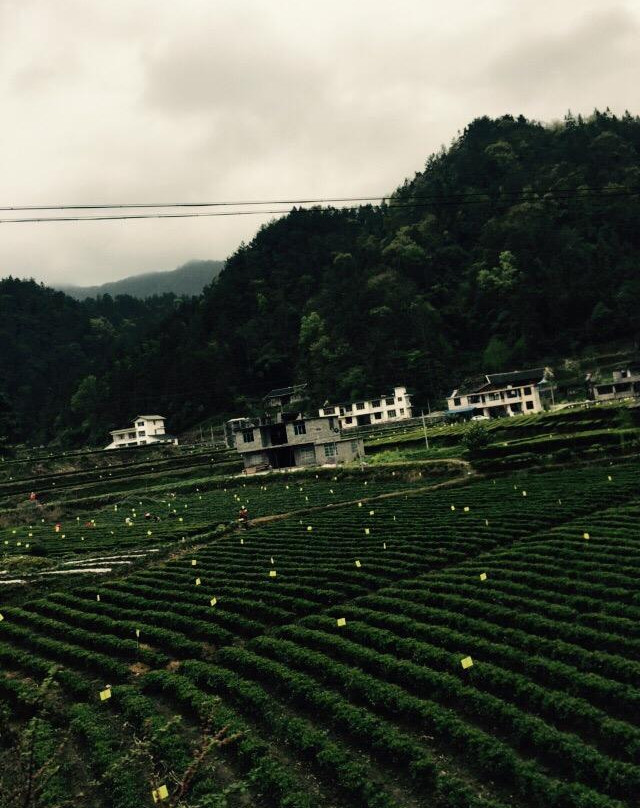 黄金洞-咸丰县必去景点