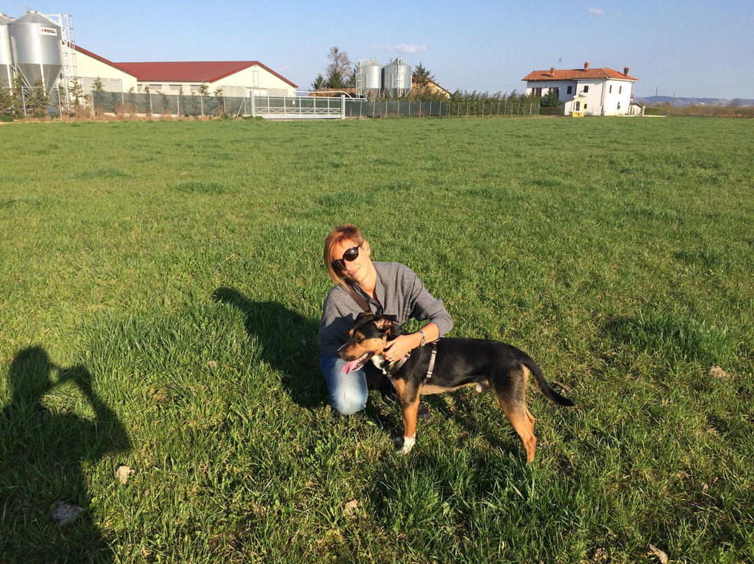 La Vigna Del Maestro主图