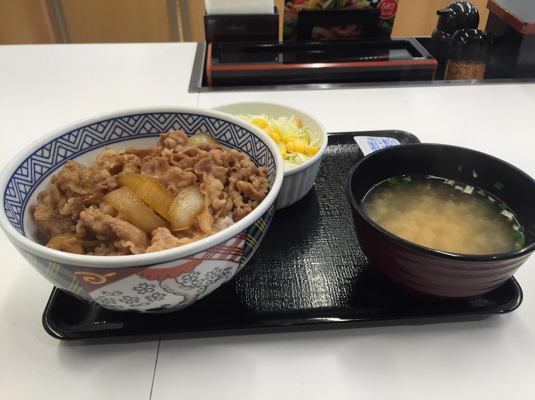 吉野家 狸小路店