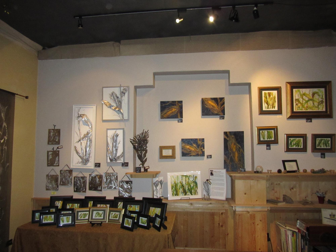 Eaton Studio Gallery-布卢明顿必去景点