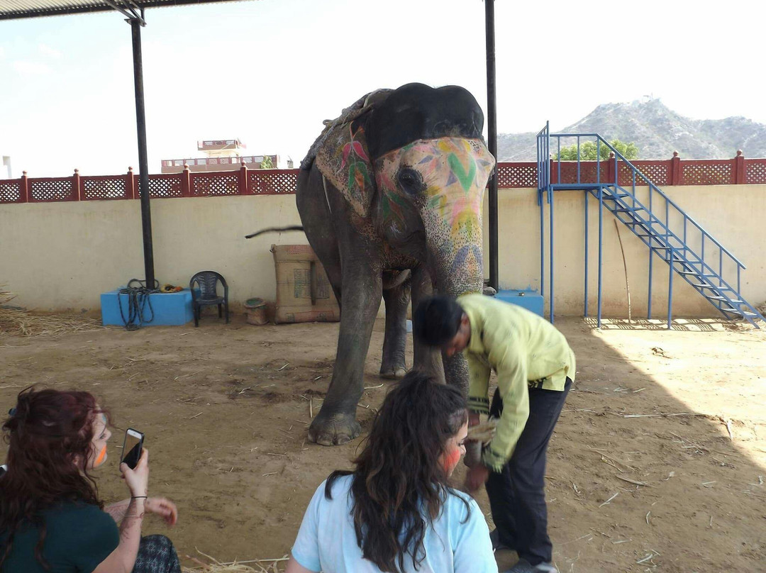 Elephant Activity Planner-斋蒲尔必去景点