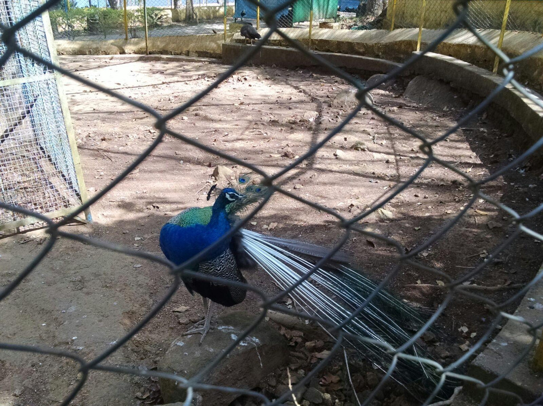 Deer Park-亚尔考德必去景点