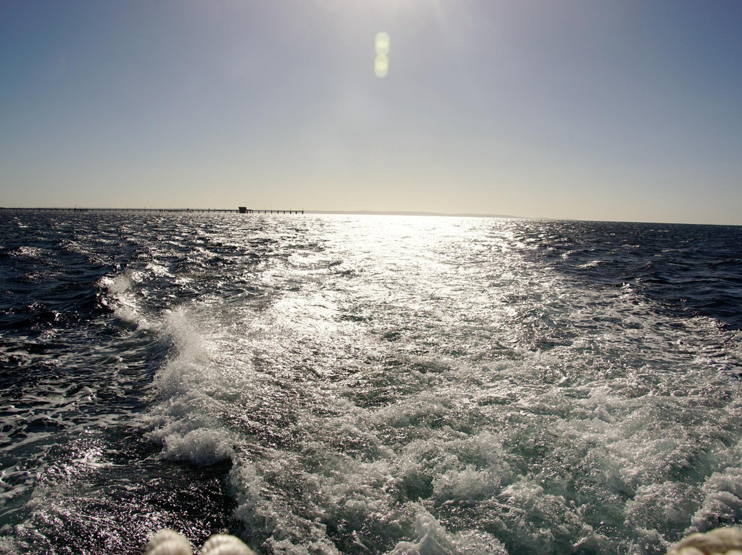 Geographe Maritime Charters-巴瑟尔顿必去景点