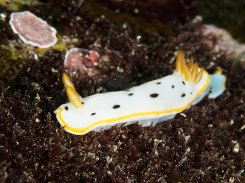 Splash Hong Kong-香港必去景点