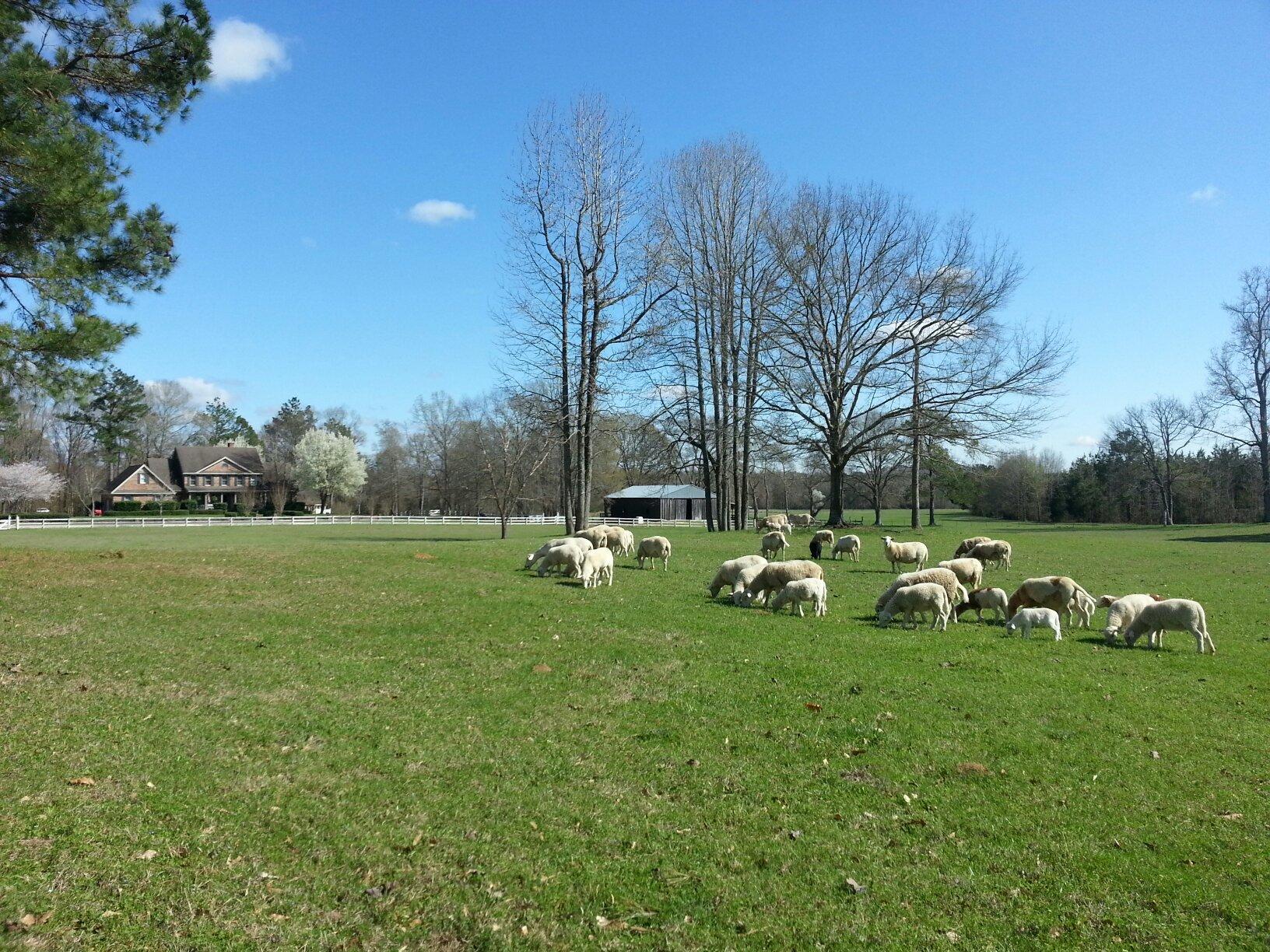 Willow Bend B & B-官方
