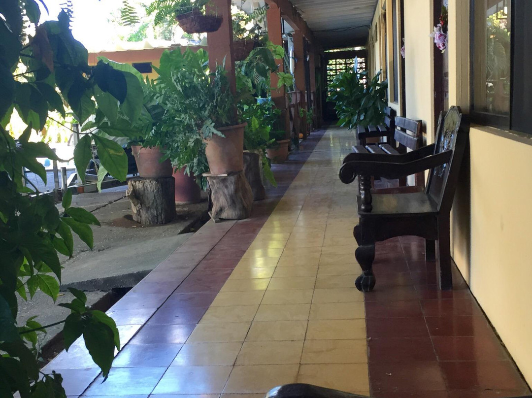 Hotel Cabinas Amelia主图