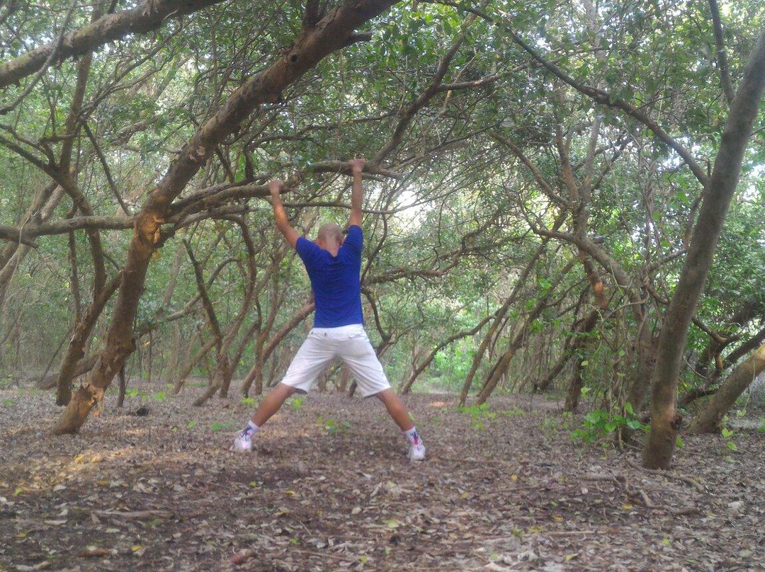 Pulau Dua Nature Reserve-西冷必去景点