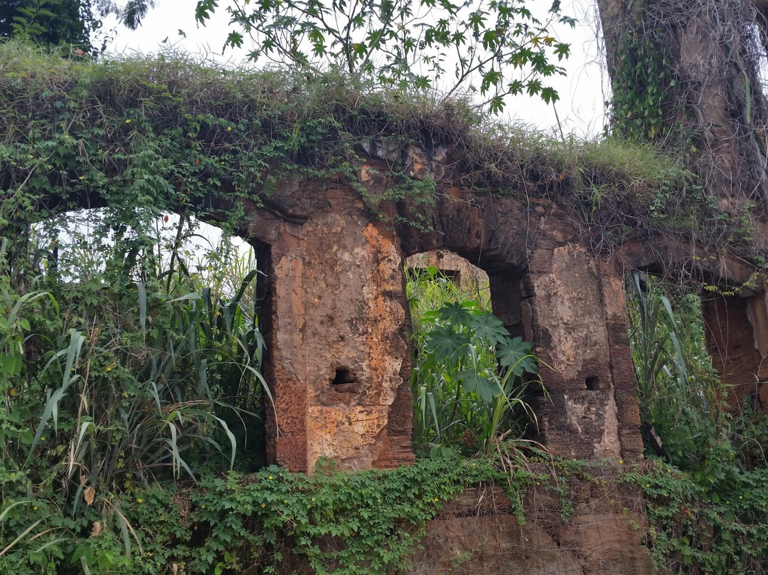 Ruínas do Solar Melo Viana景点图片
