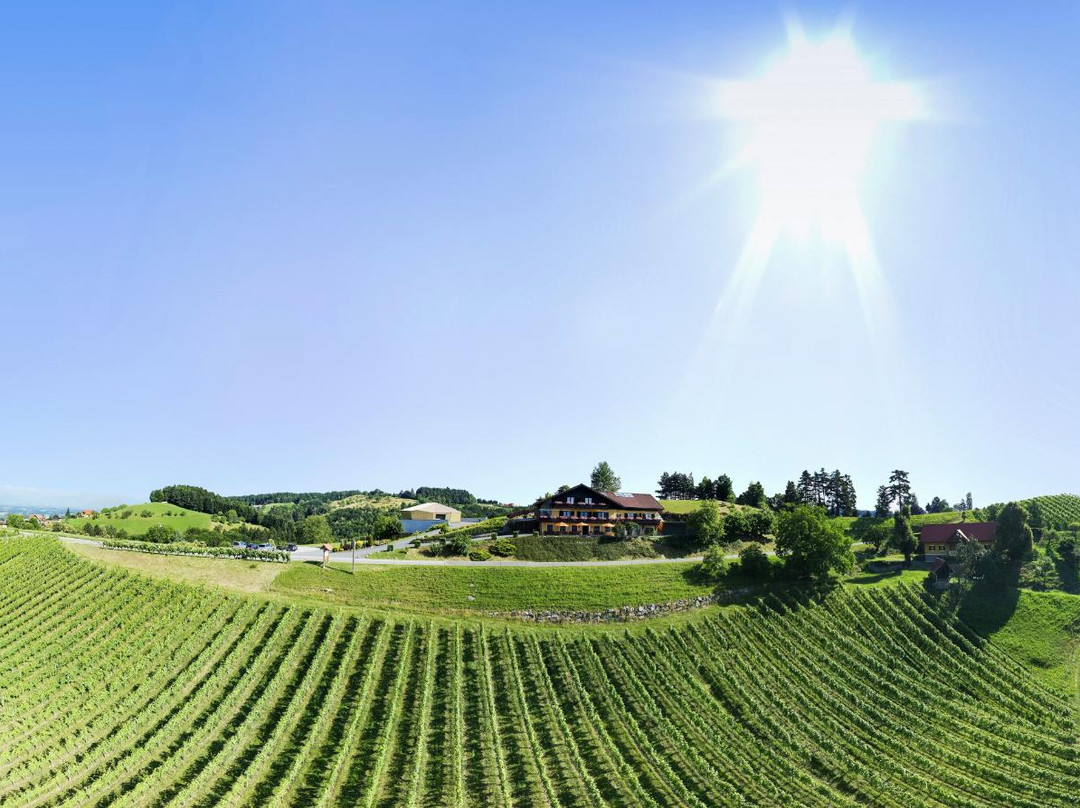 Weingut Daniel Jaunegg景点图片