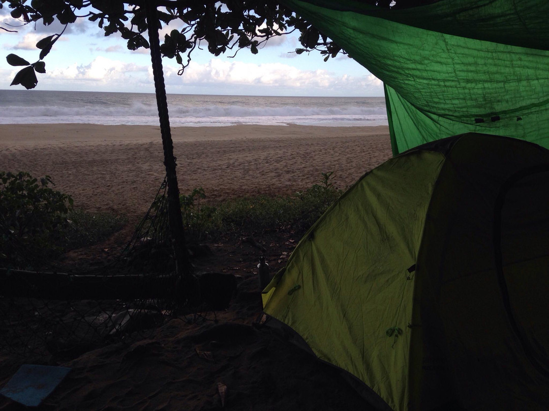 Kalalau Trail Outfitters-哈纳雷伊必去景点