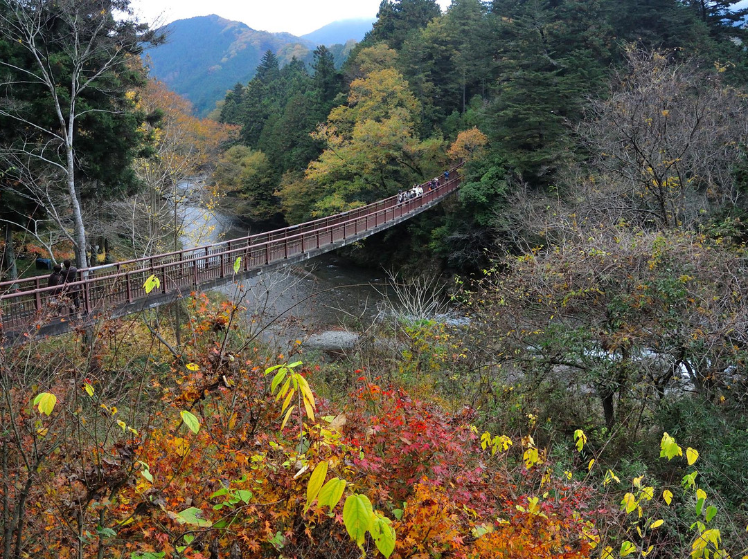 Ishibune Bridge景点图片