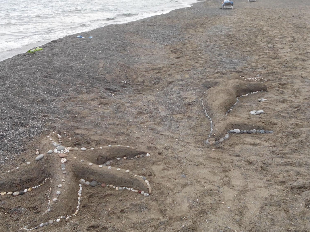 Gra Lygia  Beach-Ierapetra必去景点