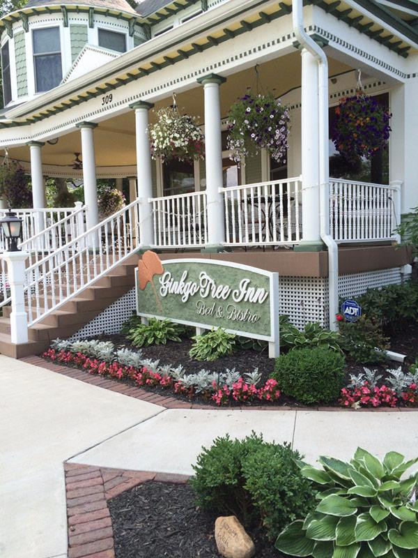 The Ginkgo Tree主图