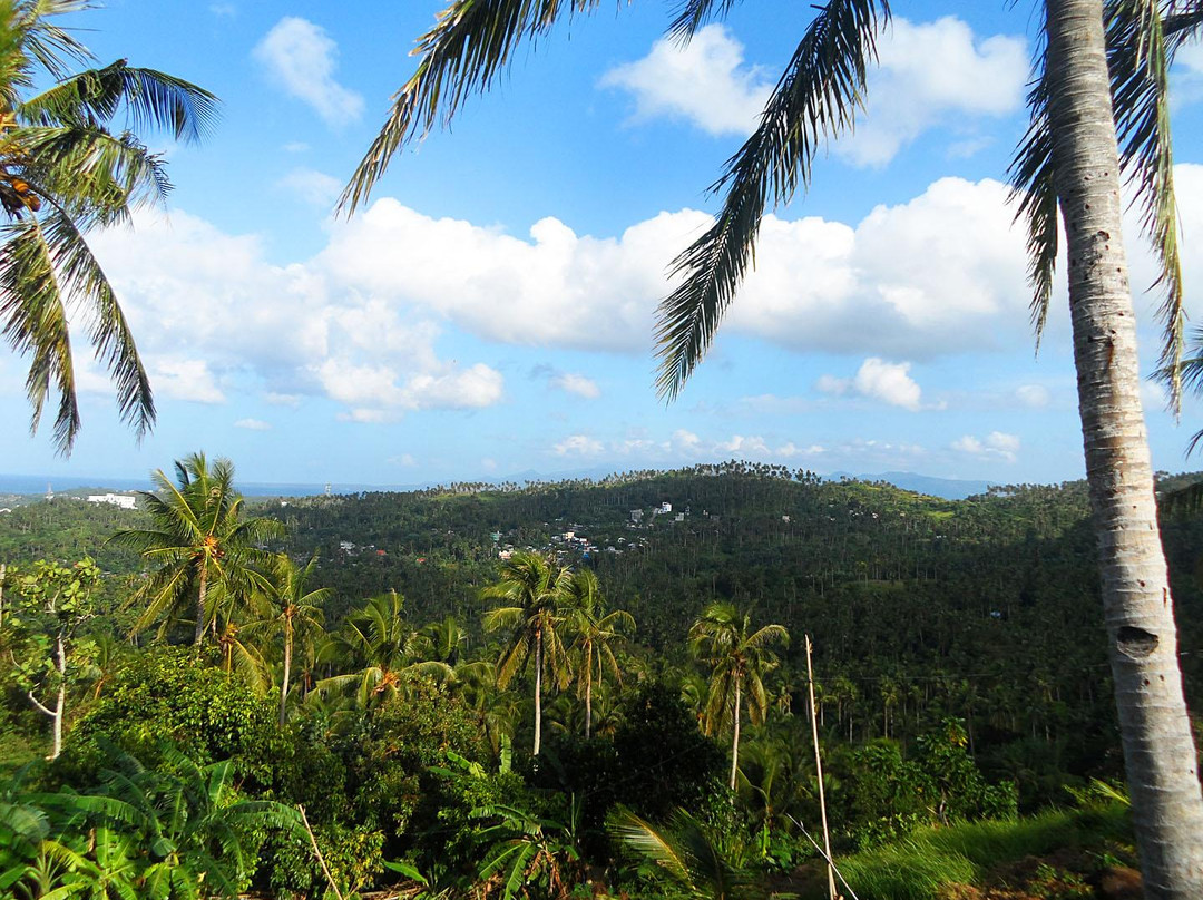 Gio's Majestic View & Resort主图