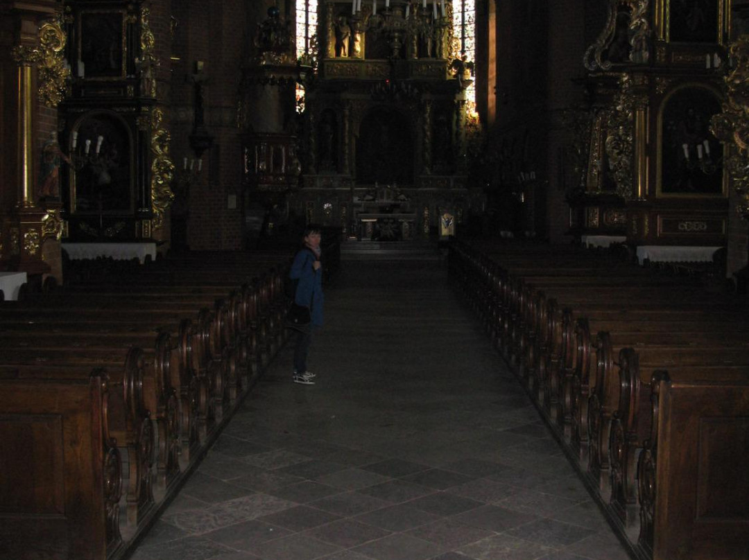 Gothic Cathedral of Pelpin景点图片
