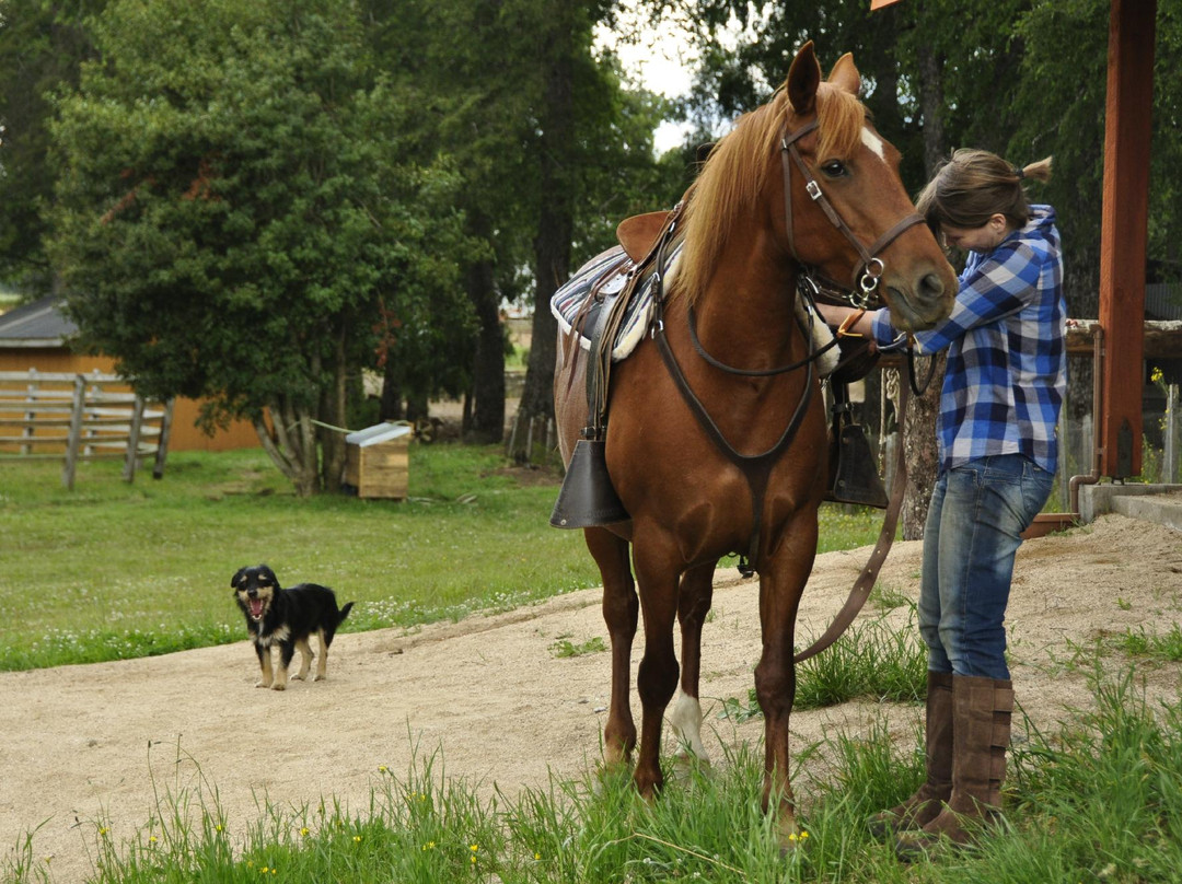 Corral del Sauce-维多利亚必去景点