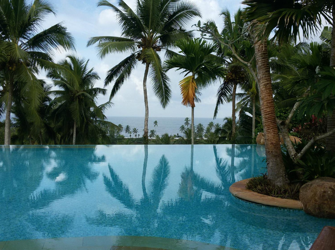 Jasmine Bay