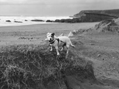 Widemouth Bay Beach-Widemouth Bay必去景点