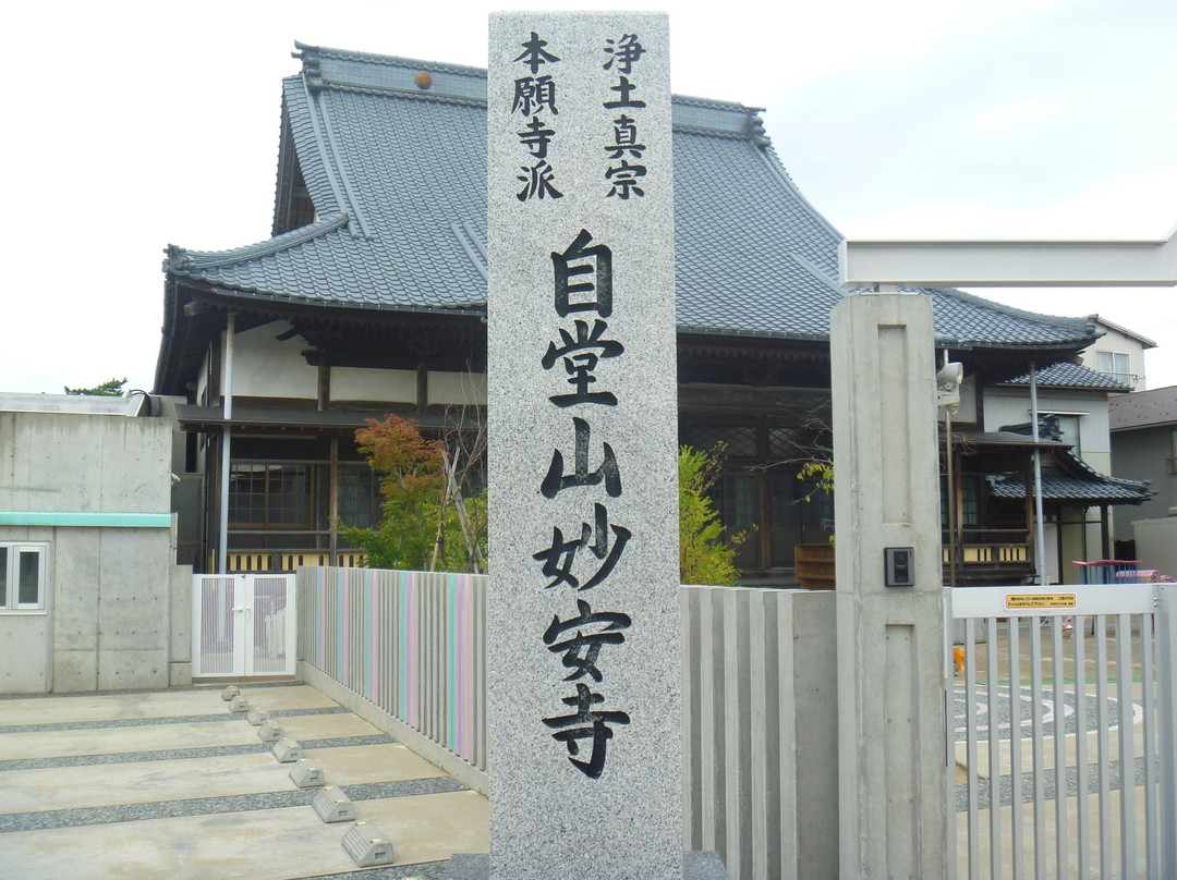 Myoan-ji Temple景点图片